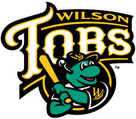 Wilson Tobs 2014-Pres Primary Logo iron on heat transfer